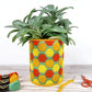 Bargello Bundle - Honeycomb Planter and Wallhanging Kits - Save 10% - Bargello Kit - ohsewbootiful