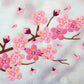 Cherry Blossom Embroidery Fabric Pattern Pack - Fabric Packs - ohsewbootiful